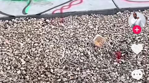 Fernando is op de plek waar 2 pac is geschoten