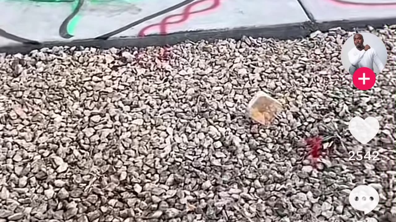 Fernando is op de plek waar 2 pac is geschoten