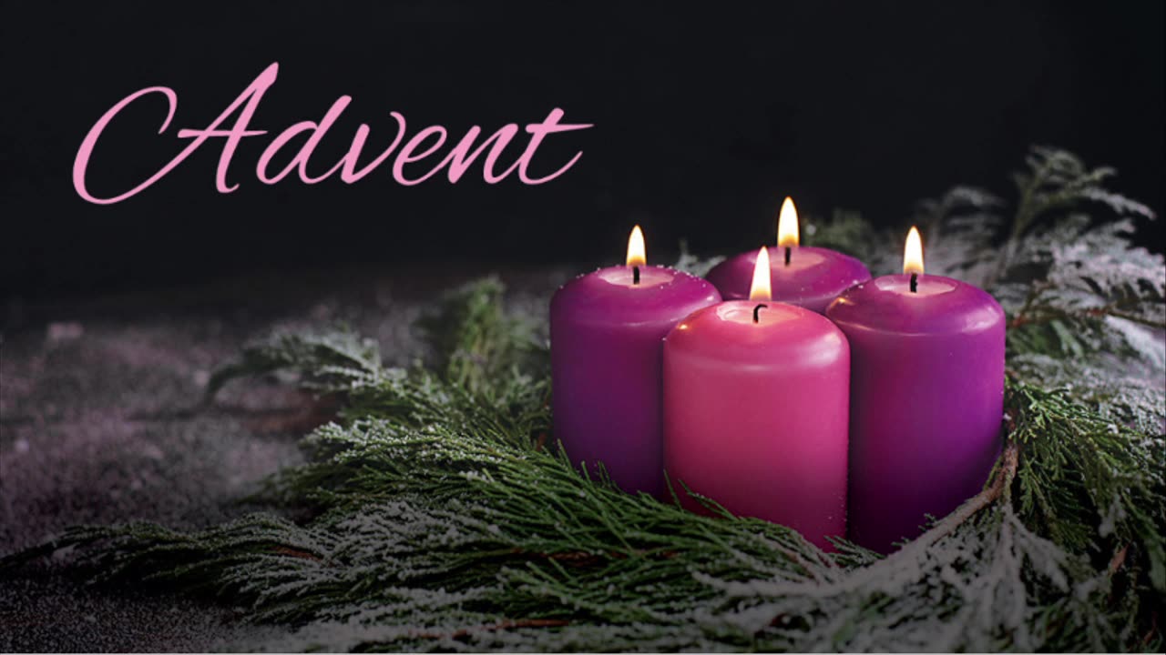 Homily for Advent week #1