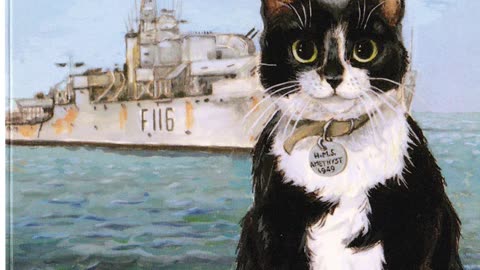 Simon – The Cat Who Fought for His Crew