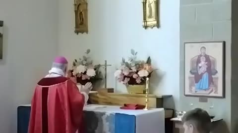 Feast of St. Apollinaris