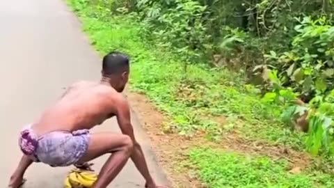 Funny videos