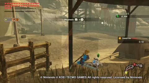 Hyrule Warriors Age Of Calamity Guerreros De Hyrule La Era De Calamidad Mastering Magnesis