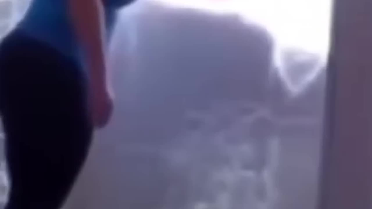 Funny cat videos