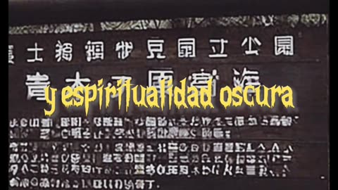 🌳 Monte Aokigahara en Japon