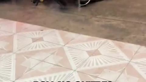 😂💀 Could Have Been Worse! | FunFM