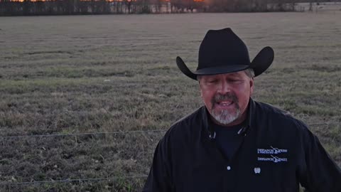 WWI's SHOCKING New Weapons Changed EVERYTHING FOREVER!