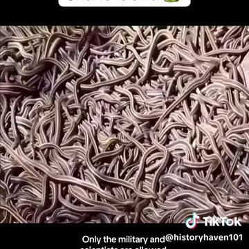 Forbidden Places You Cannot Visit