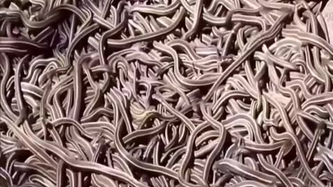 Forbidden Places You Cannot Visit