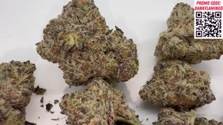 Gucci Cake by THCA King! Exotic Strain Review by the Dank Flamingo!!