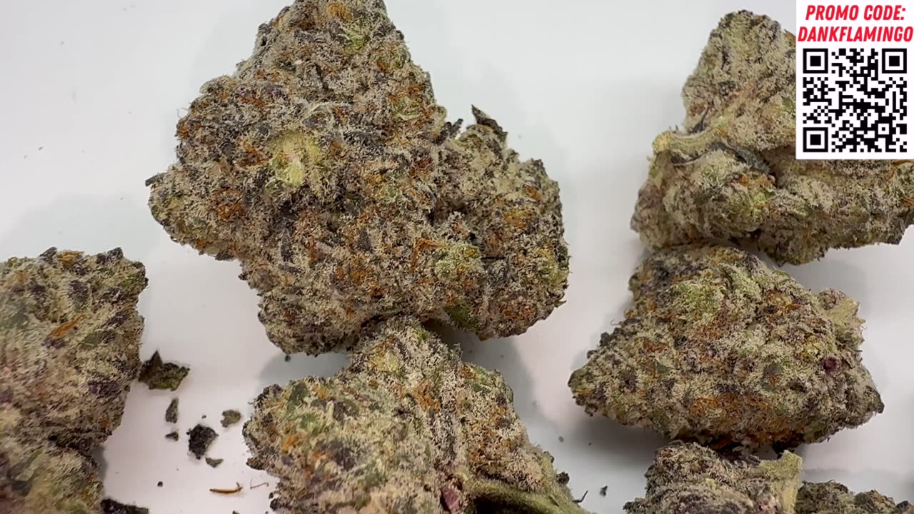 Gucci Cake by THCA King! Exotic Strain Review by the Dank Flamingo!!