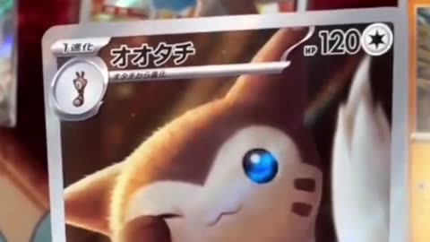 The hype on this adorable single is wild - Pokemon Japanese