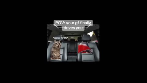 Your girlfriend driving you for the first time