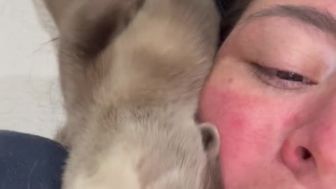 Cute Baby Otter Sounds