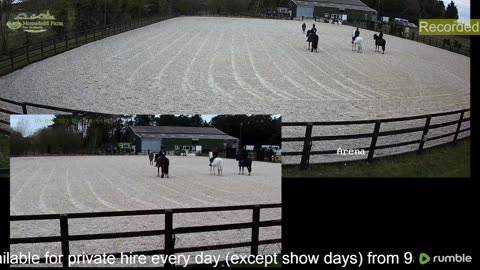 Mousehold Farm All Weather Riding arena