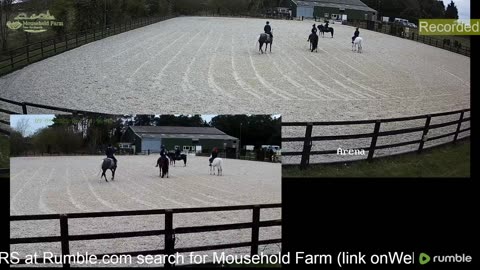Mousehold Farm All Weather Riding arena