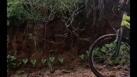 This Guy Thought He Could Fly (Spoiler: He Can’t)