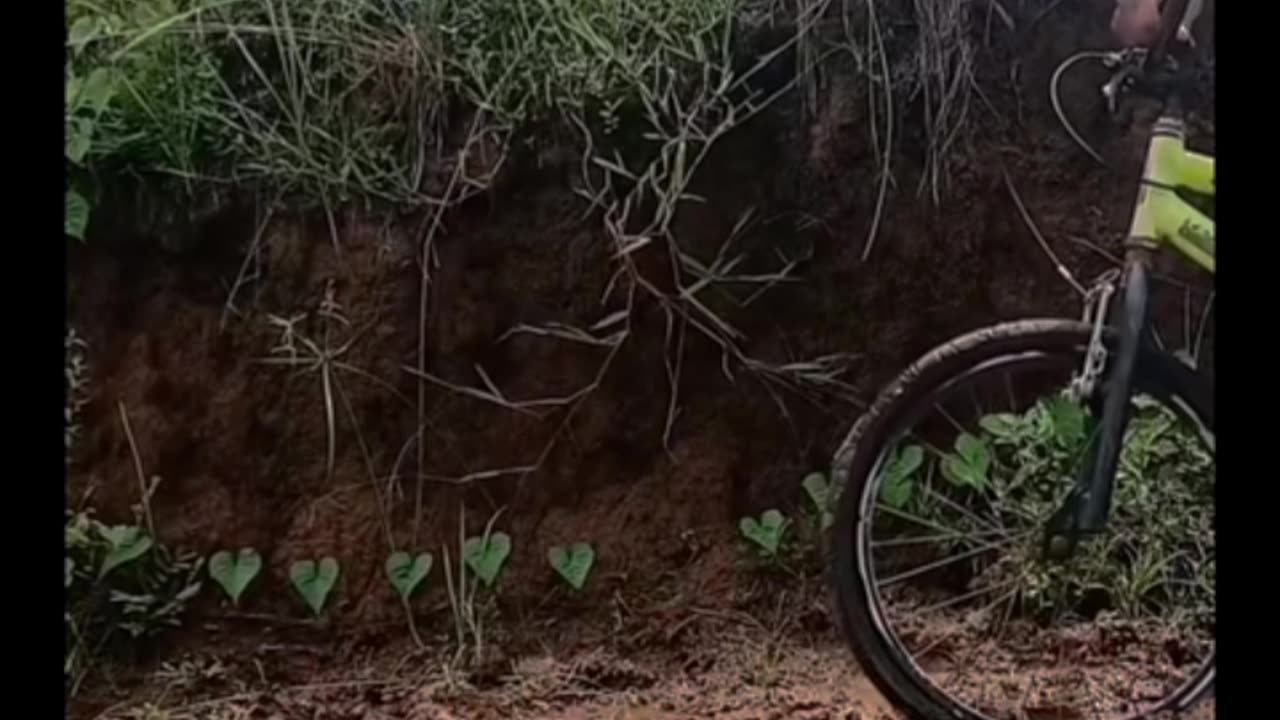 This Guy Thought He Could Fly (Spoiler: He Can’t)