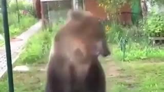 😂🤣 Big Lad Tippy Taps! | FunFM