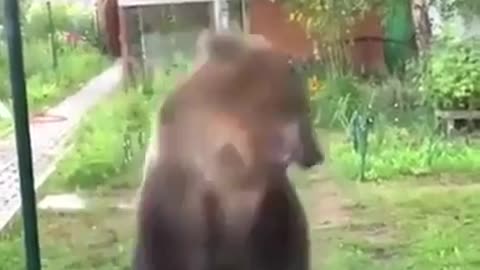 😂🤣 Big Lad Tippy Taps! | FunFM