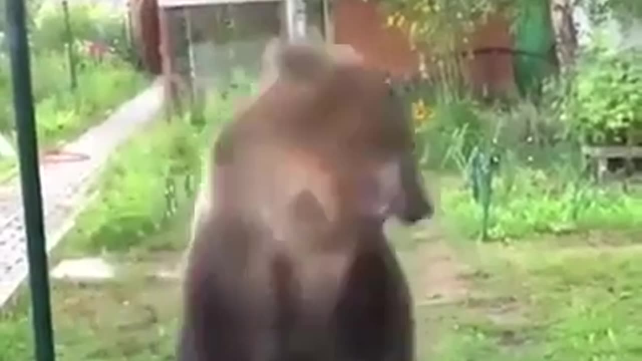 😂🤣 Big Lad Tippy Taps! | FunFM