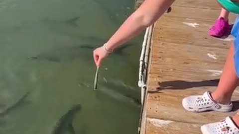 😱🤣 I Screamed the First Time to! | FunFM