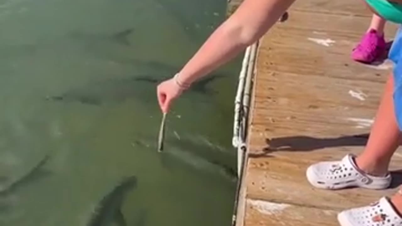 😱🤣 I Screamed the First Time to! | FunFM