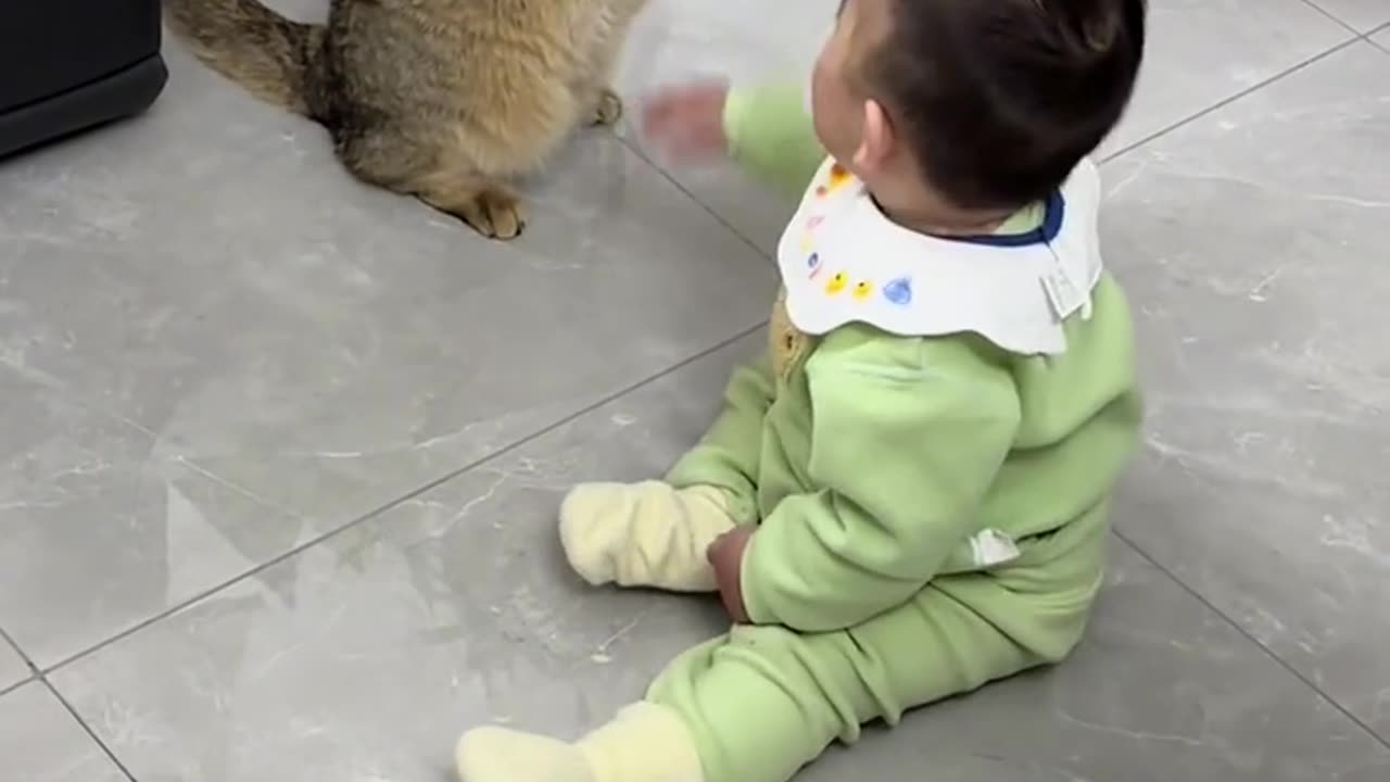 Cat with babay