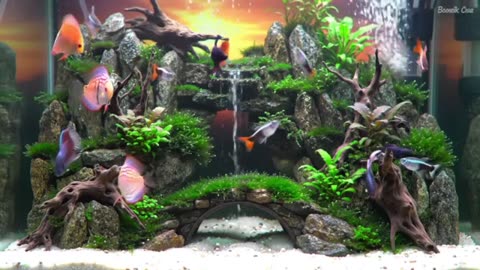 Nature in a Tank: Discover the Art of Aquascaping