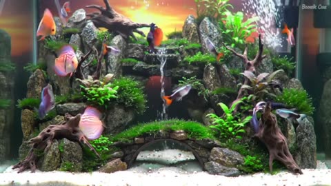 Nature in a Tank: Discover the Art of Aquascaping