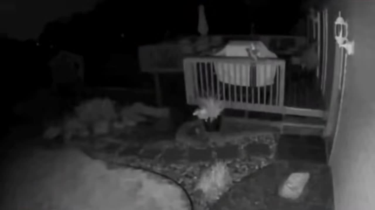 😨👻 Creepy Entity Caught on Camera! | TheHauntingHour