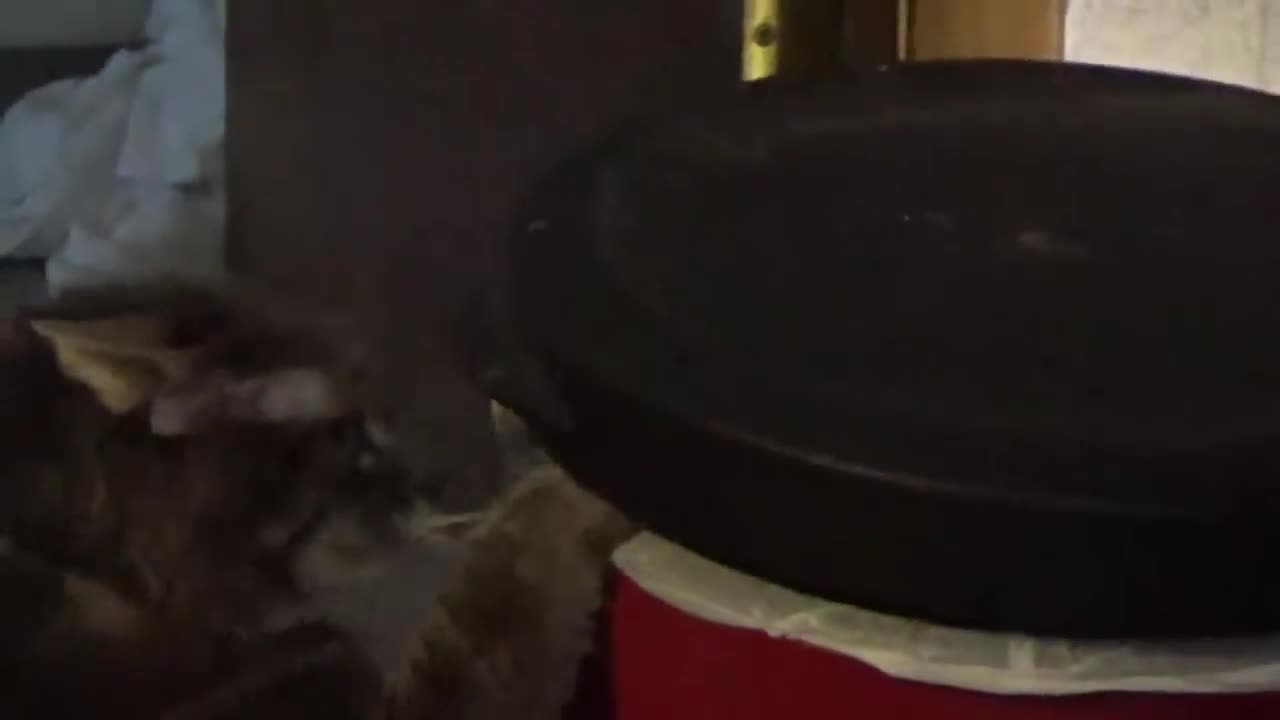 Nosy garbage can monster