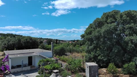Olive Oil Museum, Brac'