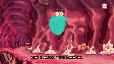 How Your Brain Works? - The Dr. Binocs Show Best Learning Videos For Kids Peekaboo Kidz