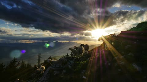 What Jesus said of those who claim to follow Him but remain habitual sinners – Sermon Audio 6/29/25
