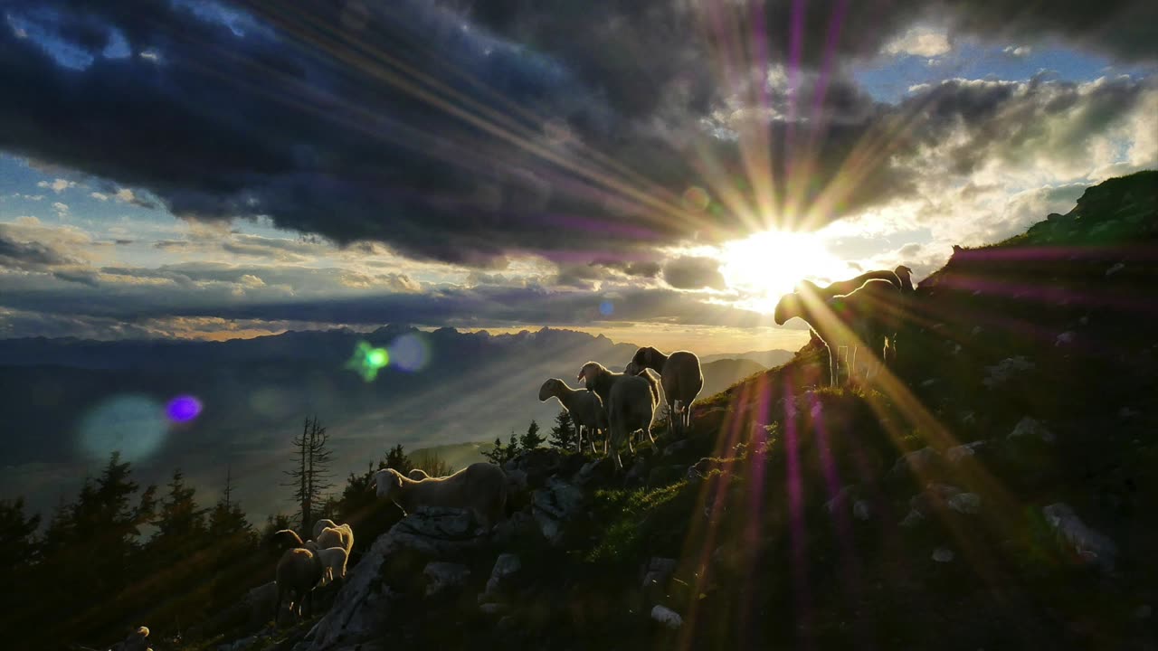 What Jesus said of those who claim to follow Him but remain habitual sinners – Sermon Audio 6/29/25