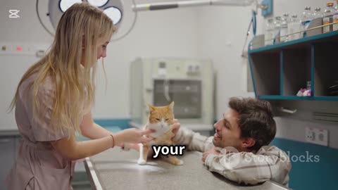 Is this