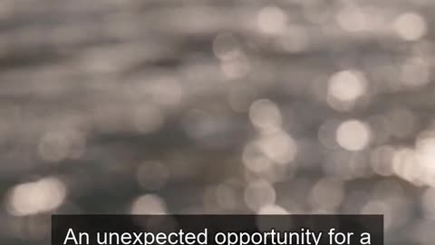 Daily Horoscope | Pisces 🌟