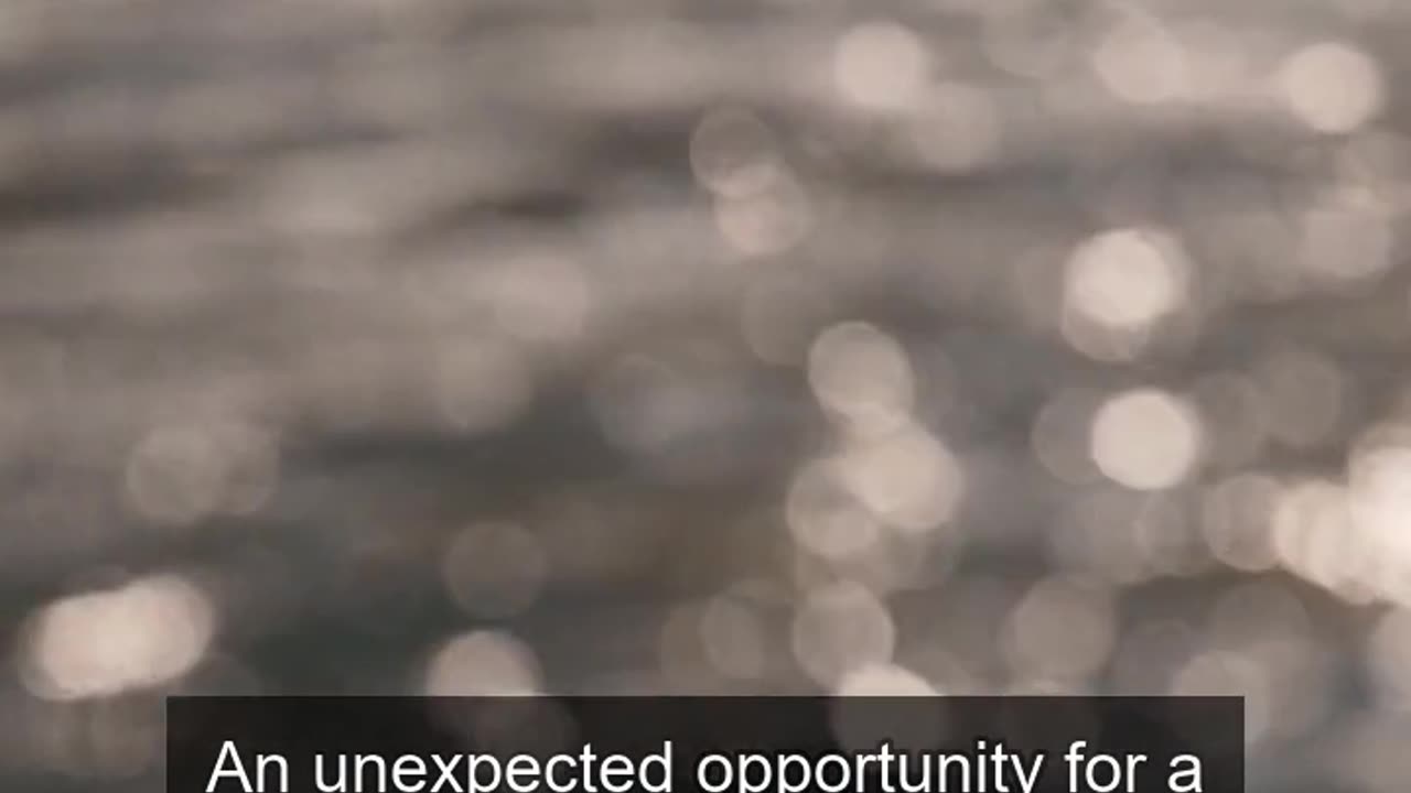 Daily Horoscope | Pisces 🌟