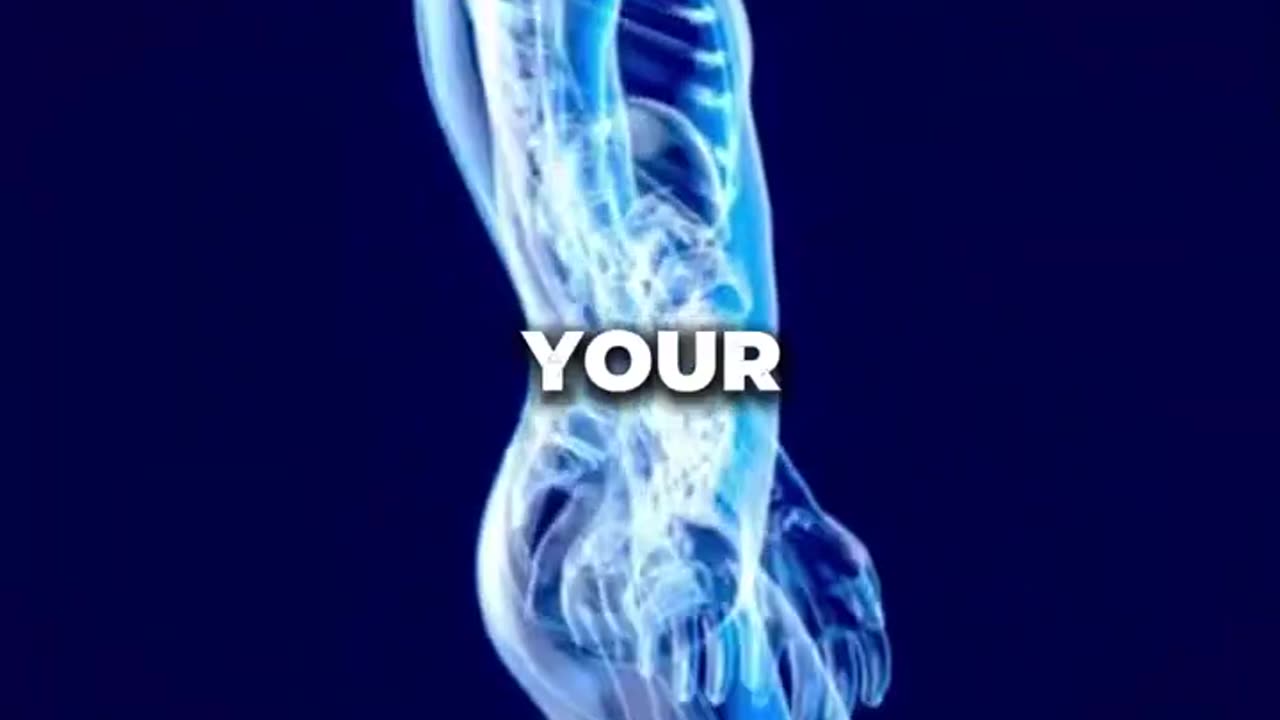 Fun Facts_ Human Body