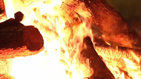 Daily Horoscope | Aries 🌟