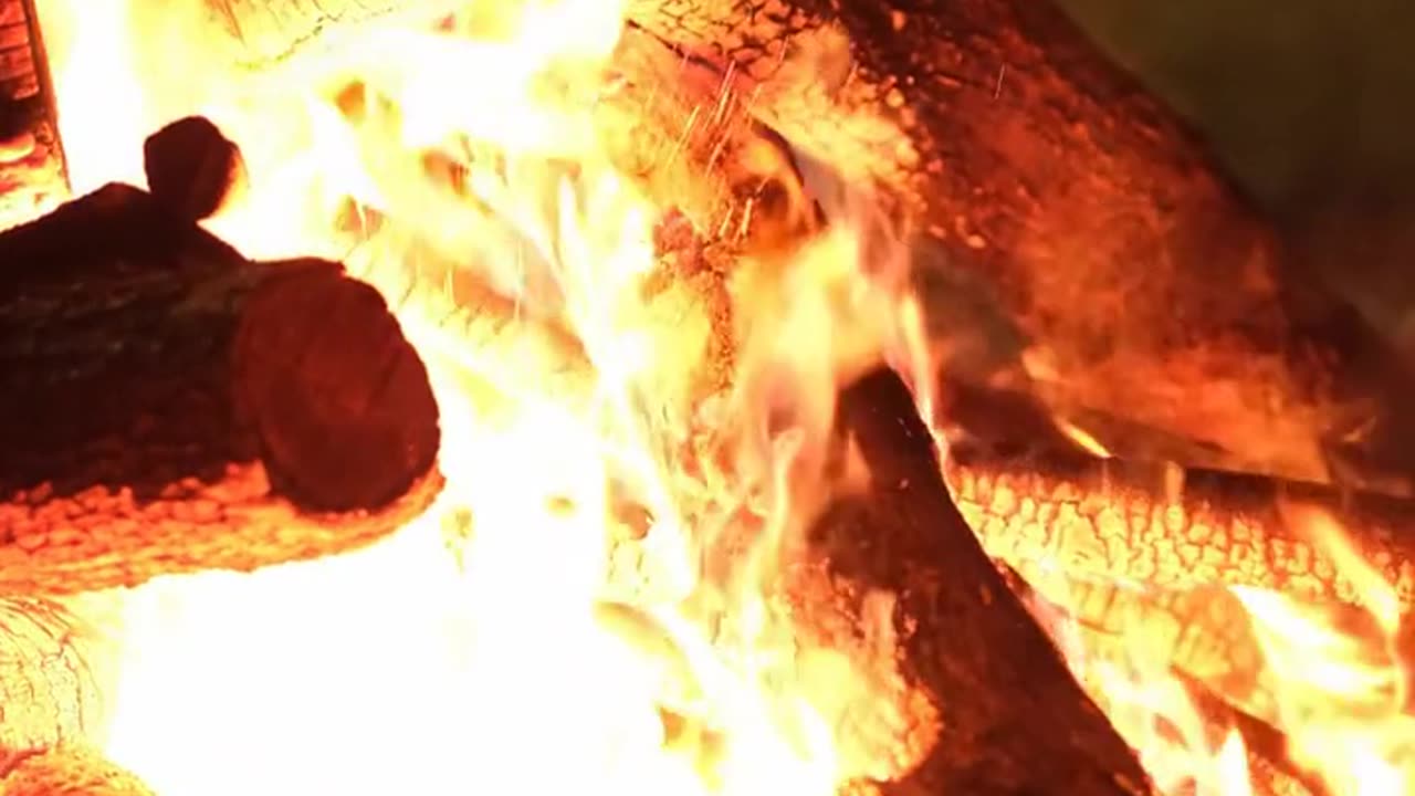 Daily Horoscope | Aries 🌟