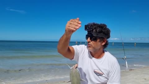 Hunting Bottom Predators with Squid Bait – Beach Fishing Ep.3