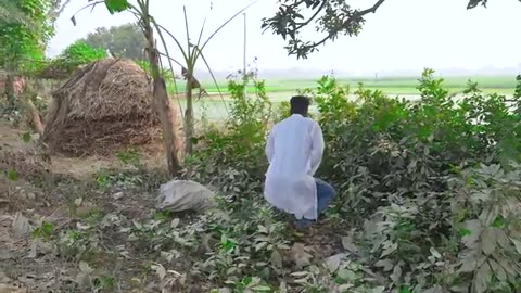Exclusive Trending Comedy Video 2025 New Amazing Funny Video 2025 Episode 309 by Busy Fun Ltd