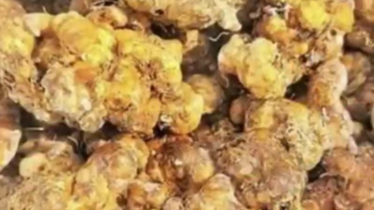 Two benefits of eating asafetida