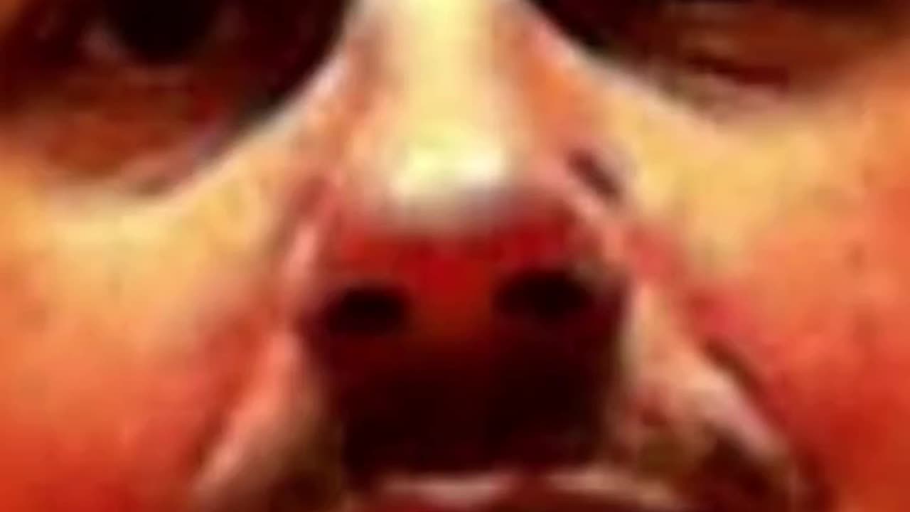 RIDE THE LIGHTNING - VOL. 246: THE EXECUTION OF MICHAEL TANZI