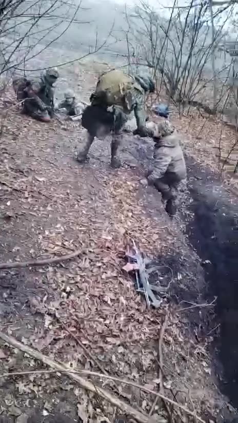 Taking boars captive in the South Donetsk direction
