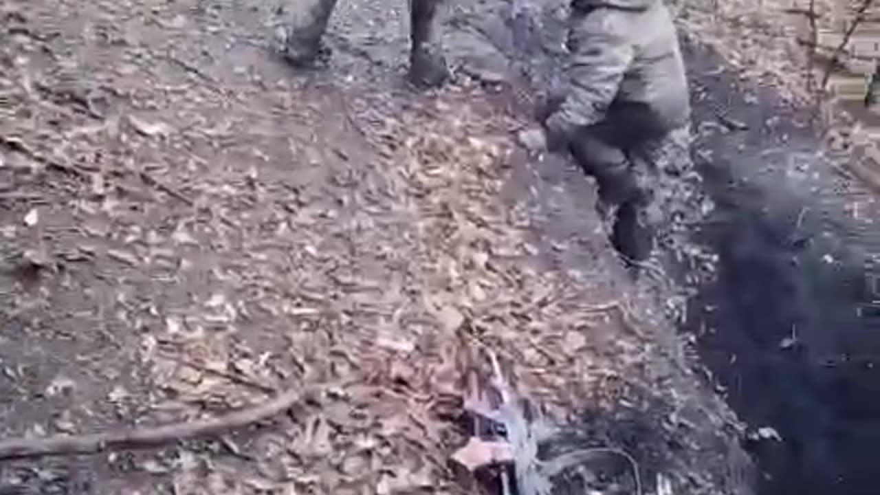 Taking boars captive in the South Donetsk direction