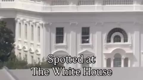 😂🤣 Inconspicuous Black Bags Out of White House Window! | FunFM