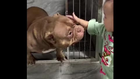 A Boy and His Dog: Love at First Bite